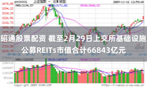 昭通股票配资 截至2月29日上交所基础设施公募REITs市值合计66843亿元