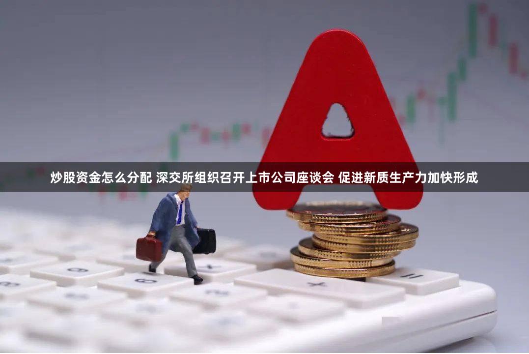 炒股资金怎么分配 深交所组织召开上市公司座谈会 促进新质生产力加快形成