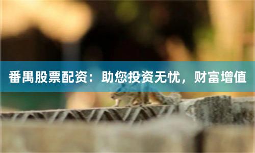 番禺股票配资:助您投资无忧,财富增值