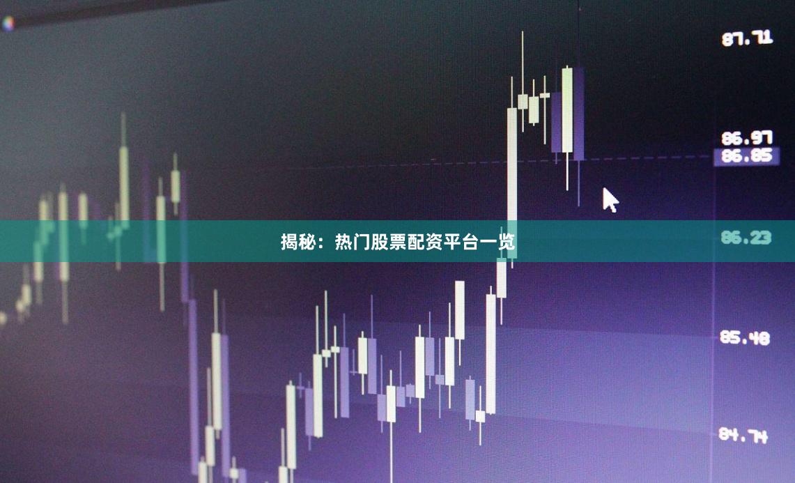 揭秘：热门股票配资平台一览
